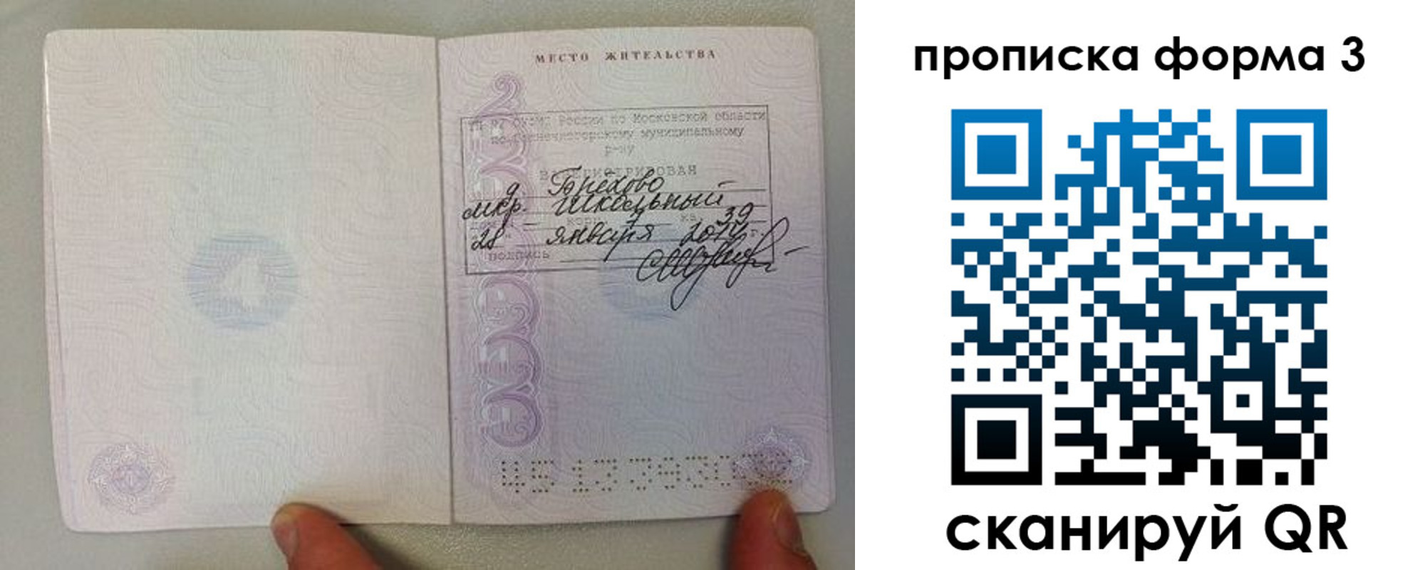 прописка гарантия в Эртили